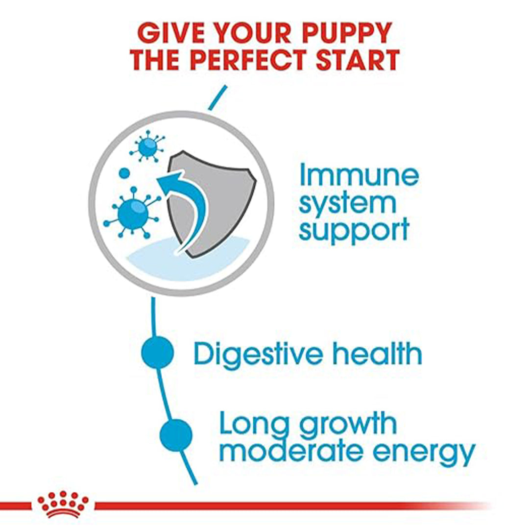 Royal Canin Maxi Puppy Wet Dog Food