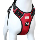 Red dog harness with black trim and reflective strips, branded zigly lifestyle, on white dog mannequin