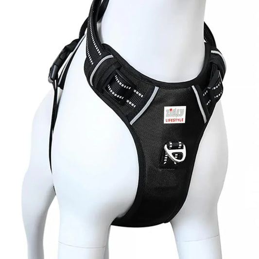 Zigly black dog harness with adjustable straps and metal D-ring on white mannequin