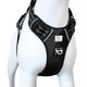 Zigly black dog harness with adjustable straps and metal D-ring on white mannequin