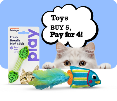 Cat playing with a toy next to a package of Petstages Fresh Breath Mint Stick, with promotional text above-Zigly