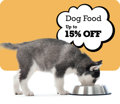 Dog eating from a bowl with a promotional text bubble for dog food on a yellow background