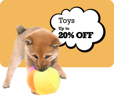 Puppy playing with a colorful toy against a yellow background with a discount message.