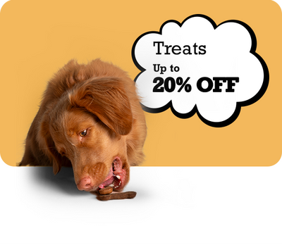 Dog eating a treat with a promotional text bubble offering up to 20% off on a yellow background