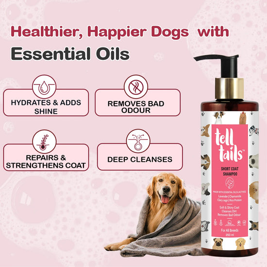 Tell Tails Short Coat Dog Shampoo from zigly for deep cleansing and coat repair.