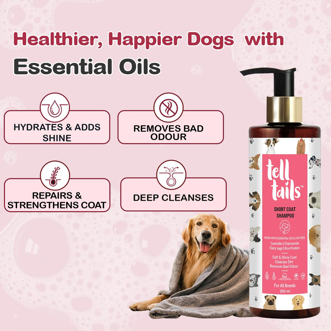 Tell Tails Short Coat Dog Shampoo from zigly for deep cleansing and coat repair.