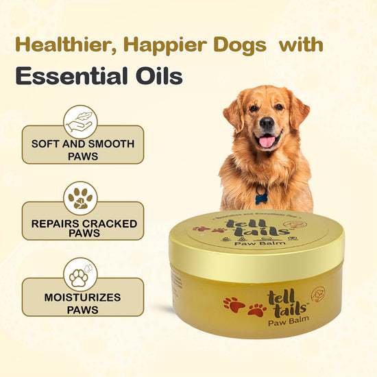 Tell Tails Paw Balm for dogs on Zigly, featuring a golden retriever and benefits for paw care.