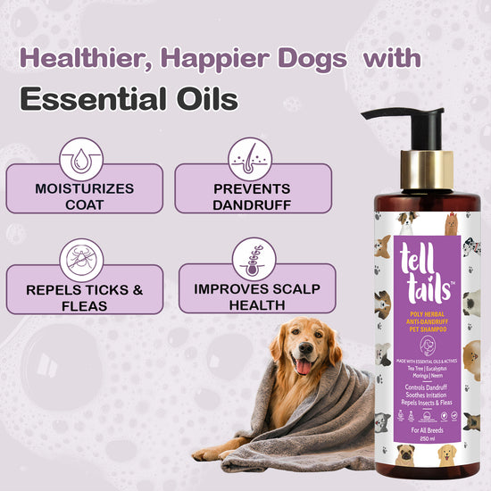 Tell Tails Anti-Dandruff Pet Shampoo for dogs available at zigly