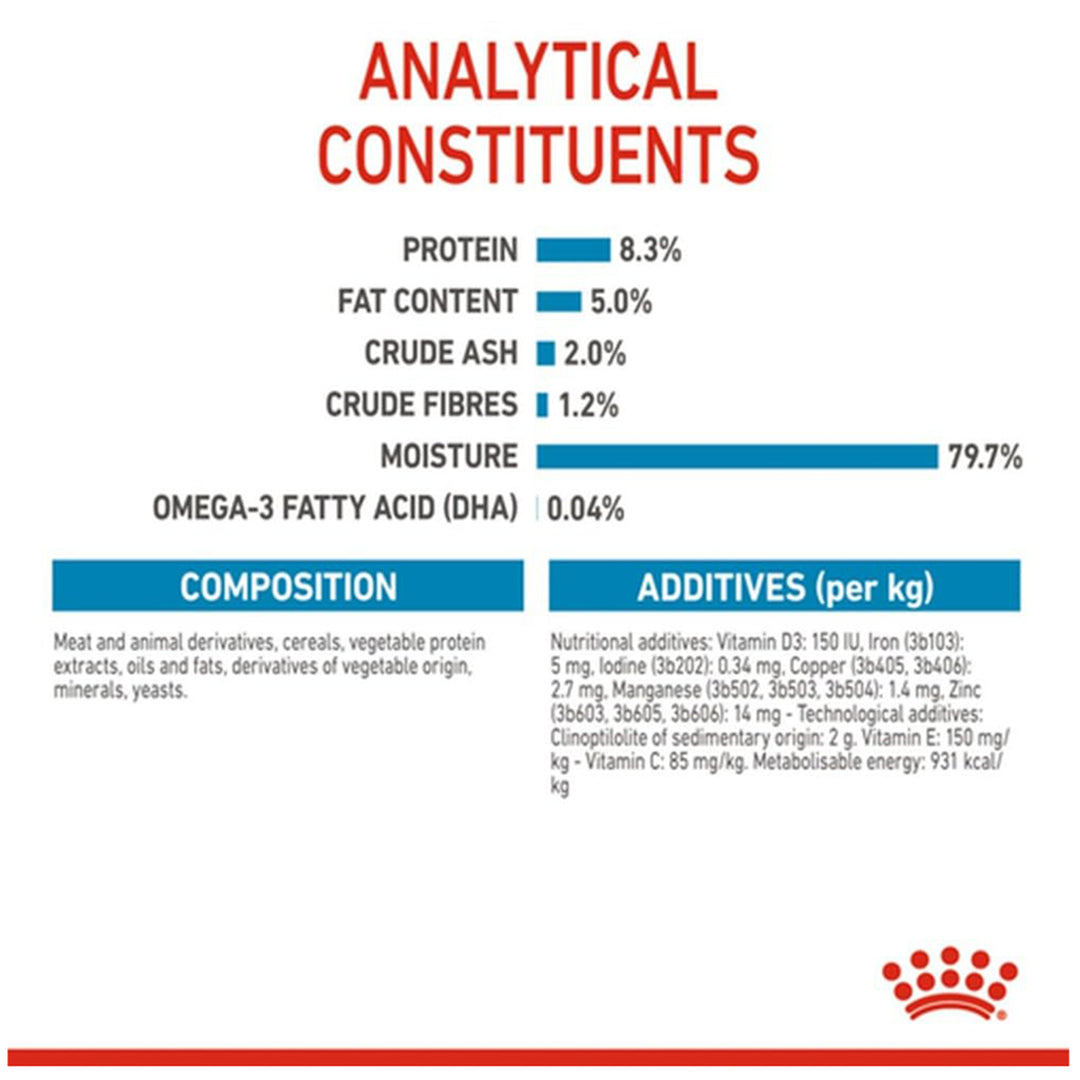 Royal Canin Maxi Puppy Wet Dog Food