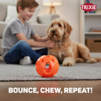 Trixie Honeycomb Ball Dog Toy Tpe  Dia 6cm Orange