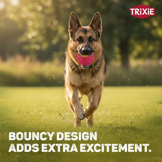 Trixie Tennisball In Tyre Dog Toy