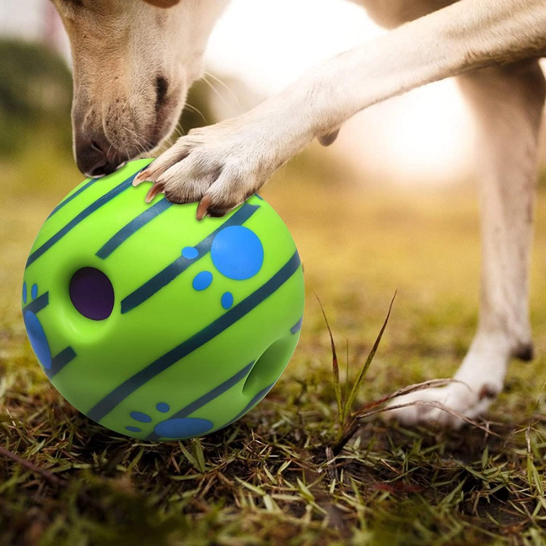 Dog playing with green and blue interactive toy ball outdoors on grass by zigly