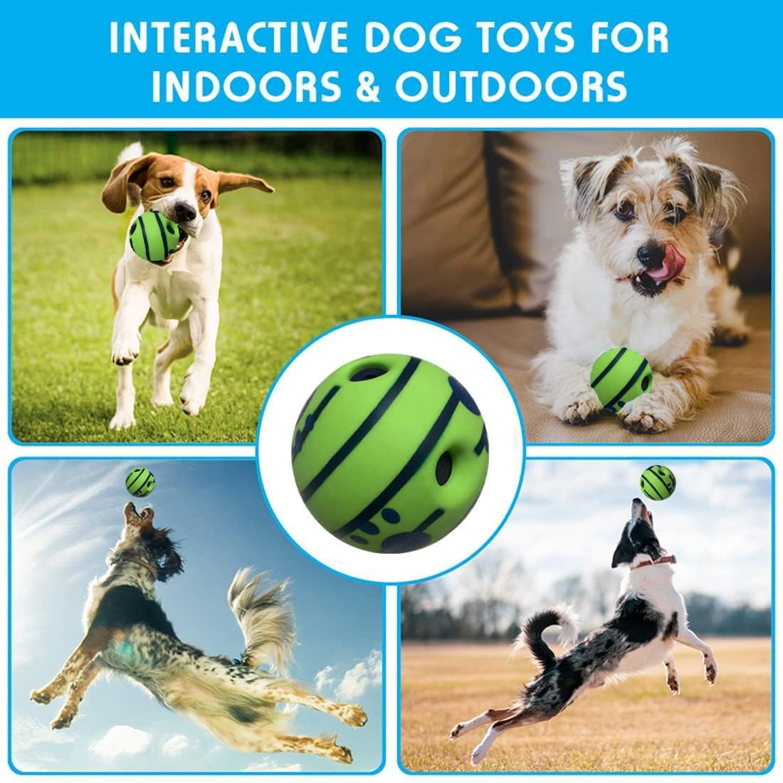 Zigly interactive green and black dog toy ball with dogs playing indoors and outdoors