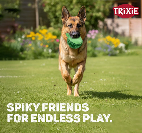 Trixie Pufferfish Dog Toy TPR - 12cm