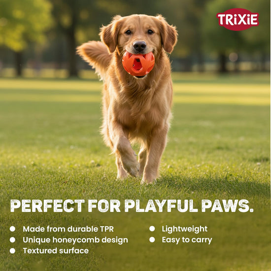Trixie Honeycomb Ball Dog Toy Tpe  Dia 6cm Orange