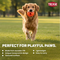 Trixie Honeycomb Ball Dog Toy Tpe  Dia 6cm Orange