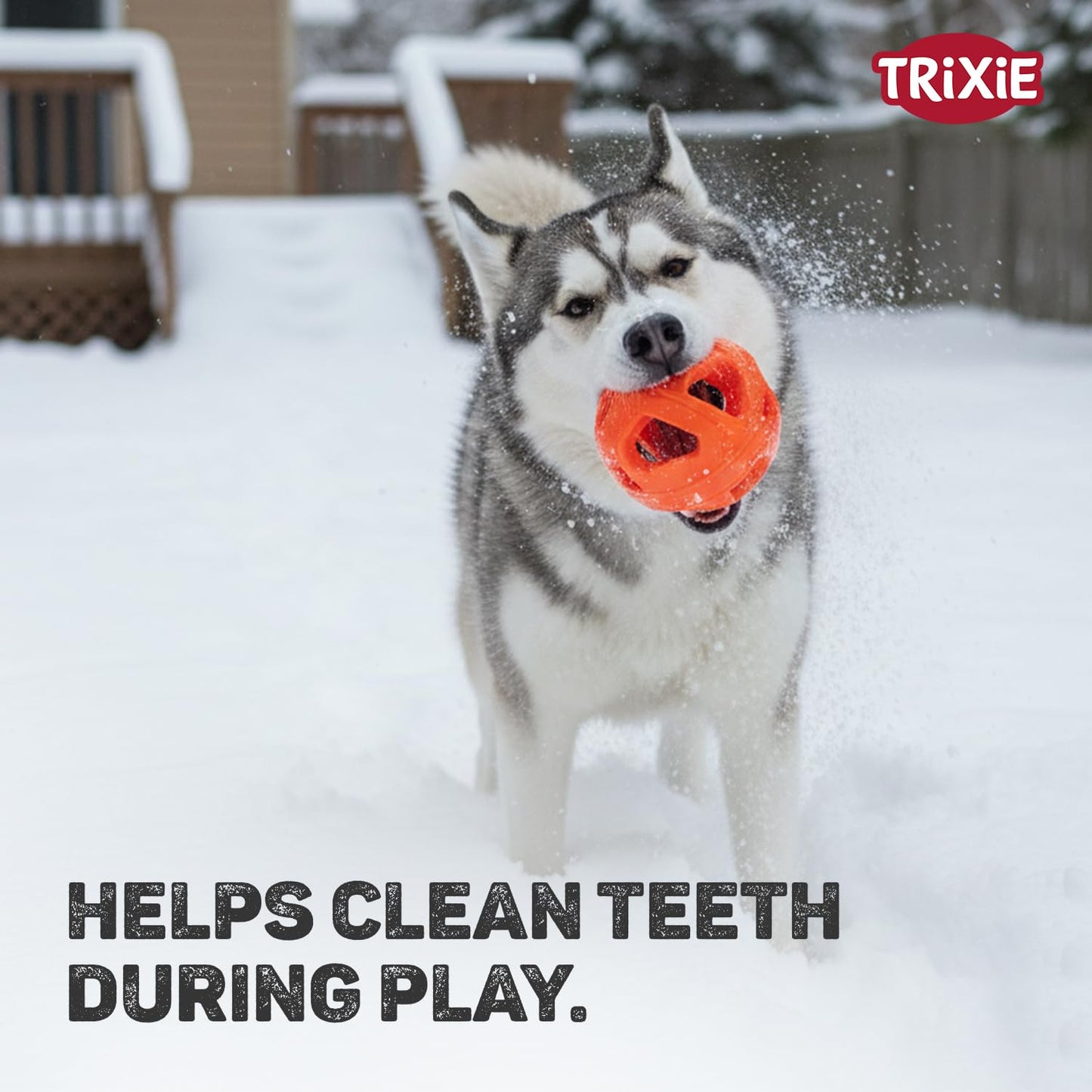 Trixie Honeycomb Ball Dog Toy Tpe  Dia 6cm Orange