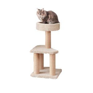 A grey cat sitting atop a Zigly Lifestyle Purrch & Play small cat tree with scratching posts.