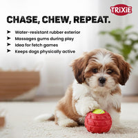 Trixie Tennisball In Tyre Dog Toy
