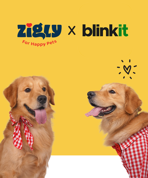 Zigly With Blinkit