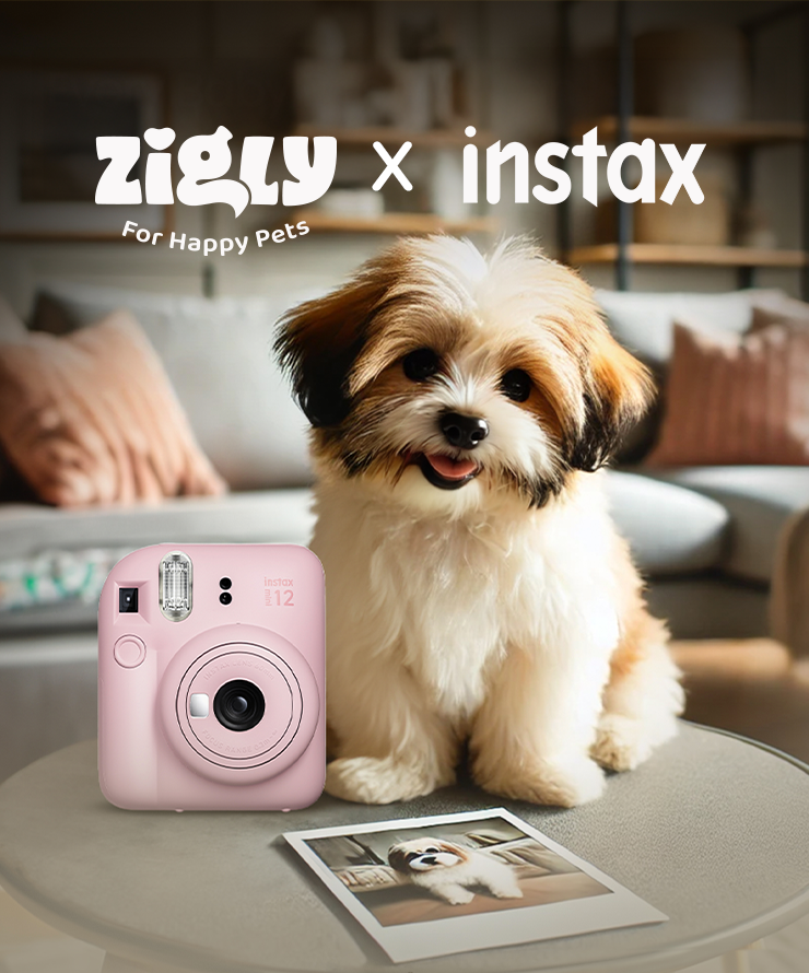 740X890_Instax.png__PID:8ea87f11-5205-4a73-a9b3-a3a08ddcf93a