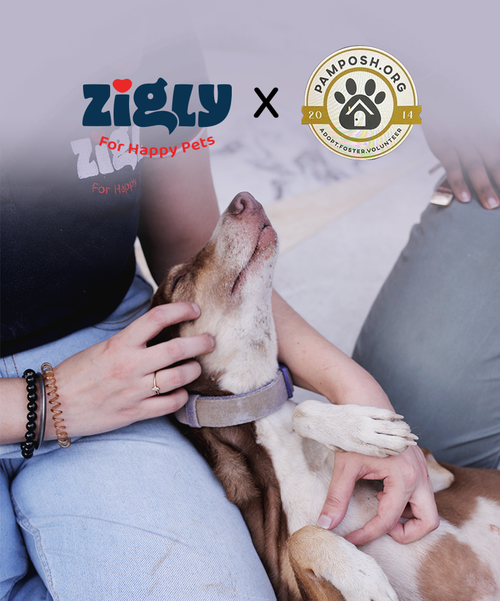 Zigly with Pamposh-Foundation