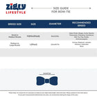 ZL Ruby Rose Dog Bow Tie - Zigly