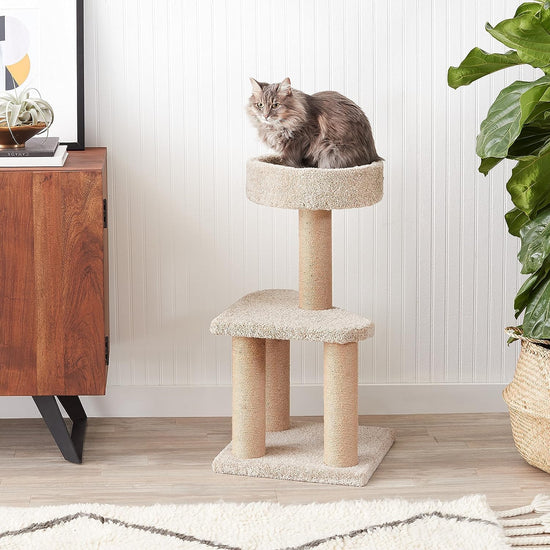 ZL Purrch & Play Cat Tree with Scratching Post – Small