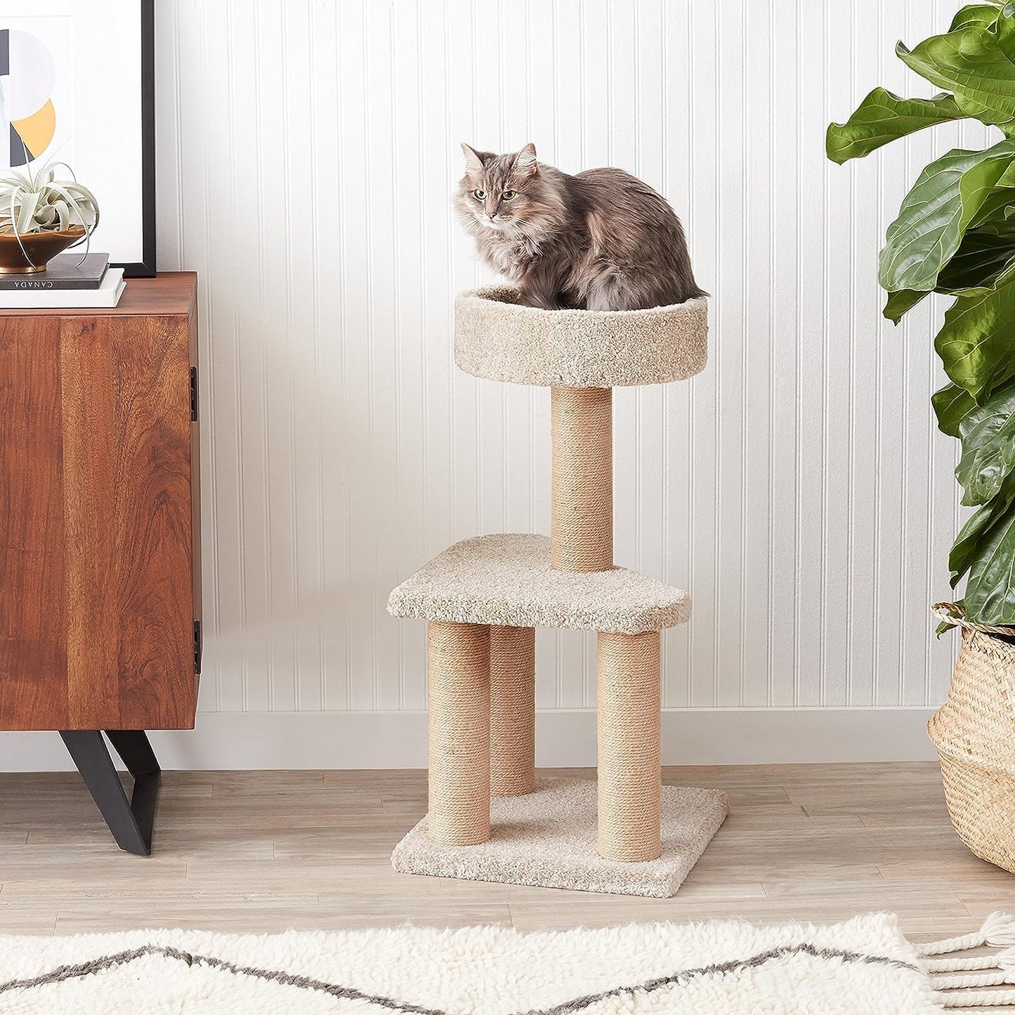 ZL Purrch & Play Cat Tree with Scratching Post – Small