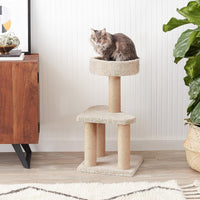 ZL Purrch & Play Cat Tree with Scratching Post – Small