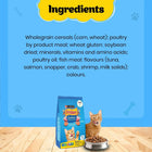 PURINA FRISKIES Seafood Sensations Tuna Salmon Whitefish Crab & Shrimp Flavours Dry Adult Cat Food - 1kg - Zigly