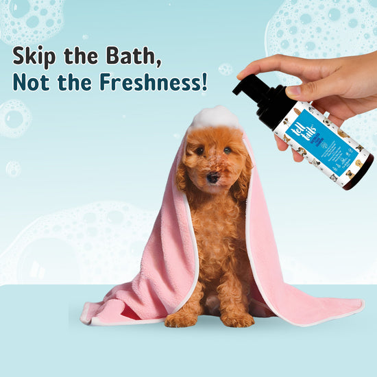 Tell Tails waterless dog shampoo for pets available at zigly