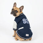 French Bulldog wearing navy and gray Zigly lifestyle jacket with number 92 on back