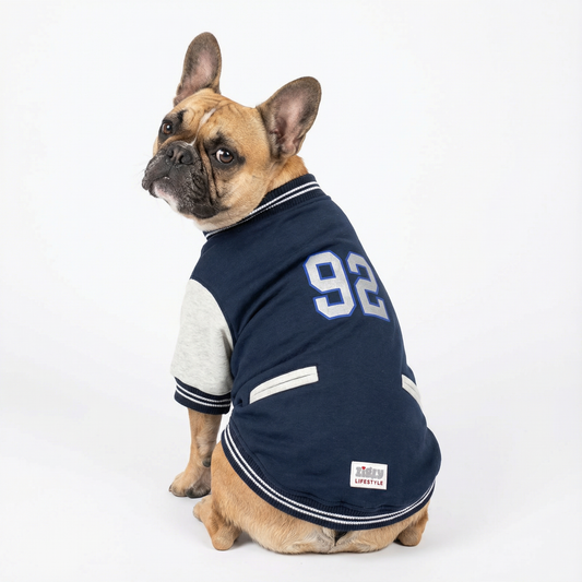 ZL Varsity Campus Pup Navy Jacket for Dogs