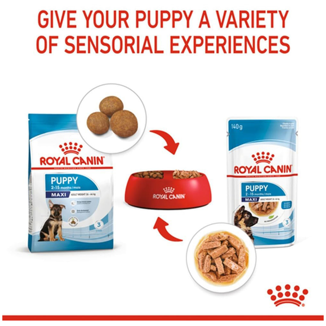 Royal Canin Maxi Puppy Wet Dog Food