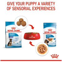 Royal Canin Maxi Puppy Wet Dog Food