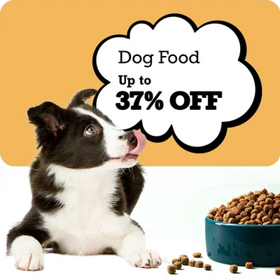 Puppy with a bowl of dog food and a promotional text bubble for dog food sale on a yellow background.
