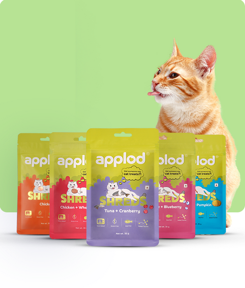 files/Applod-Treats_650X765_7eaeee6a-4074-453c-8f8e-74c5a282e6c0.png