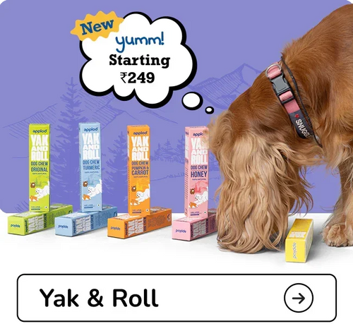 Yak & Roll dog chew Treat