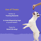 Applod Lamb Dog Biscuit With Ashwagandha - Zigly
