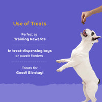 Applod Lamb Dog Biscuit With Ashwagandha