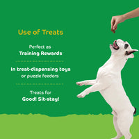 Applod Pumpkin Dog Biscuit with Turmeric