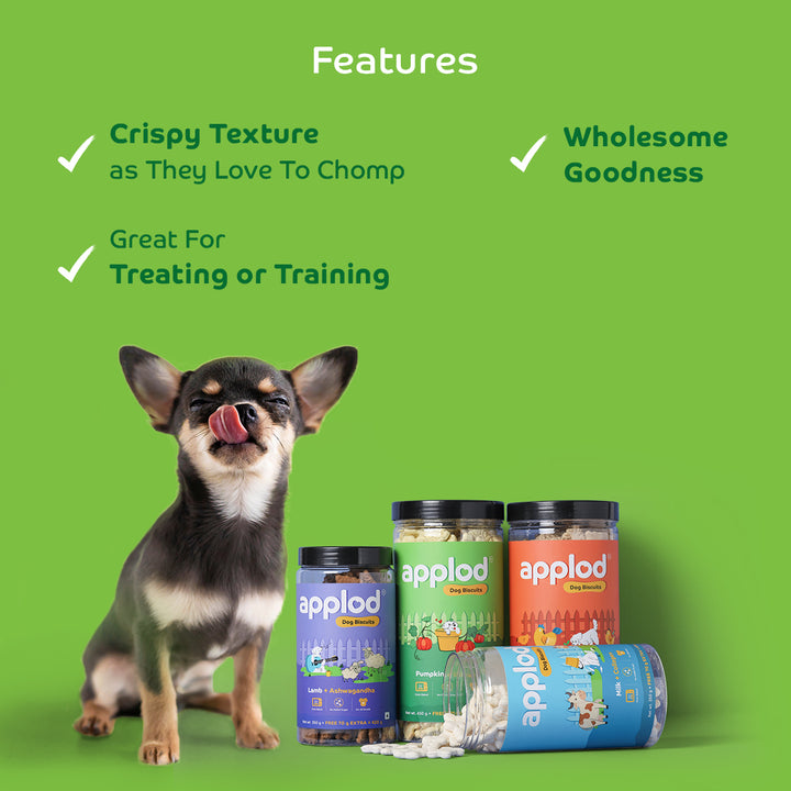 Applod Pumpkin Dog Biscuit with Turmeric