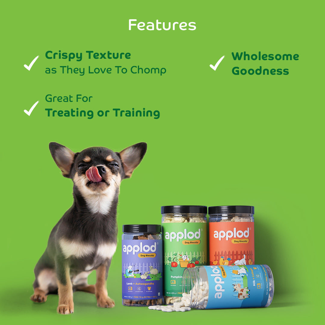 Applod Pumpkin Dog Biscuit with Turmeric
