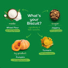 Applod Pumpkin Dog Biscuit with Turmeric - 25g (Sample) - Zigly