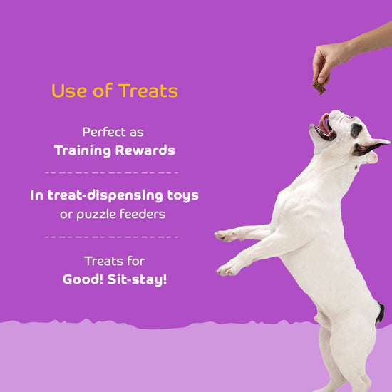 applod-real-chicken-dog-biscuit