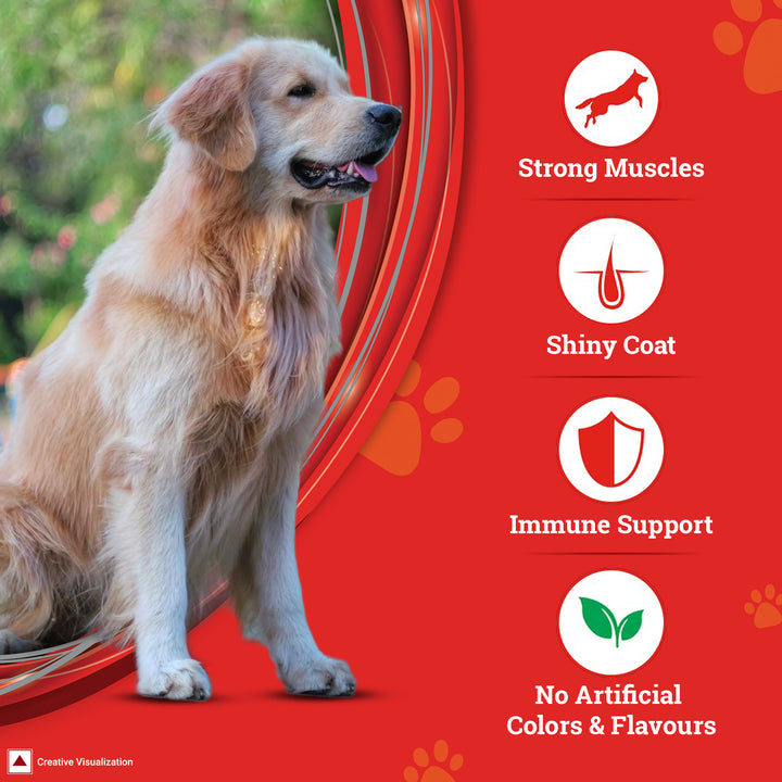PURINA SUPERCOAT  with Chicken Adult (1+ Years) All Breed Dry Dog Food  - 2.5kg