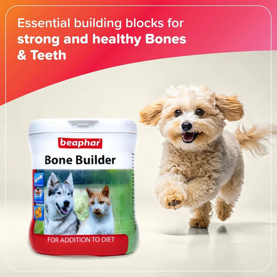 Beaphar Bone Builder Powder with Calcium for Dogs and Cats Food Supplement - 400g