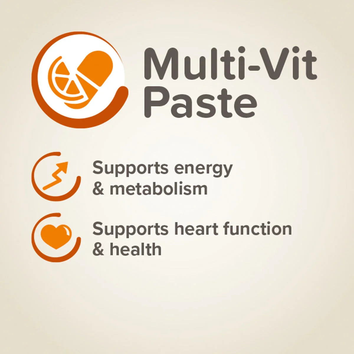 Beaphar Duo Active Paste Multi Vitamin for Dogs - 100g