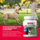 Beaphar Kalk (Calcium Supplement) Tablet for Dogs & Cats (Pack of 60 Tablets)